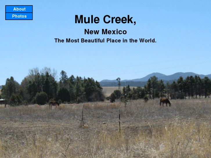 www.mulecreeknm.com