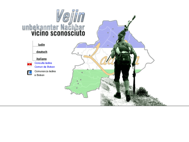 www.vejin.com