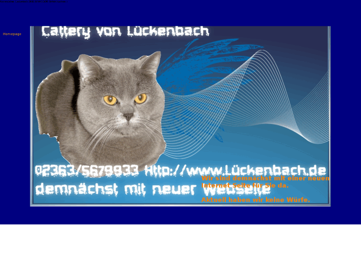 www.xn--lckenbach-q9a.com