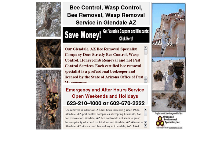 www.beecontrolglendaleaz.com