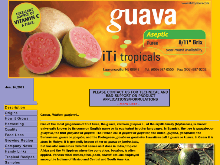 www.guavapuree.com