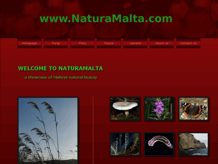 www.naturamalta.com