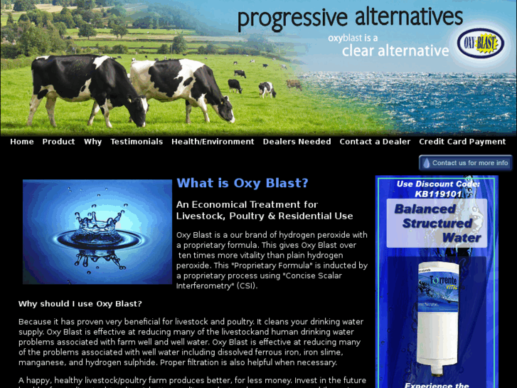 www.progressivealternatives.com