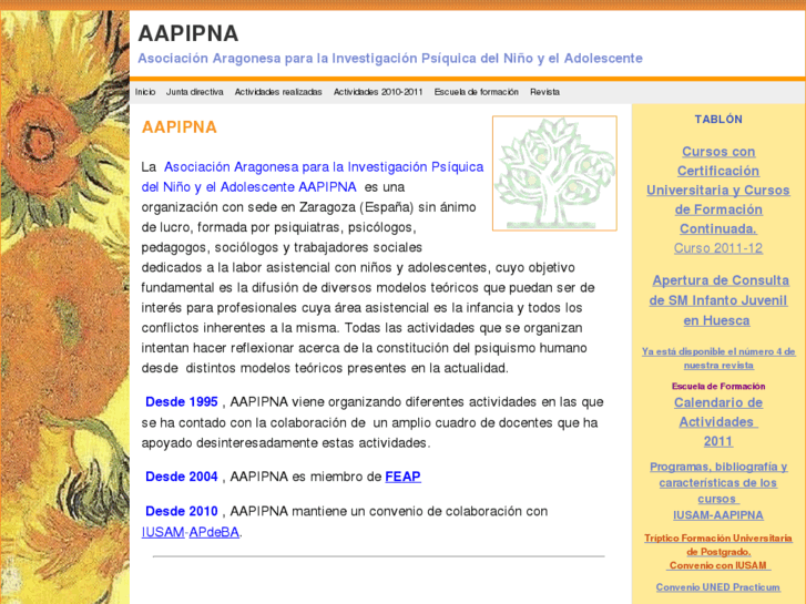 www.aapipna.es