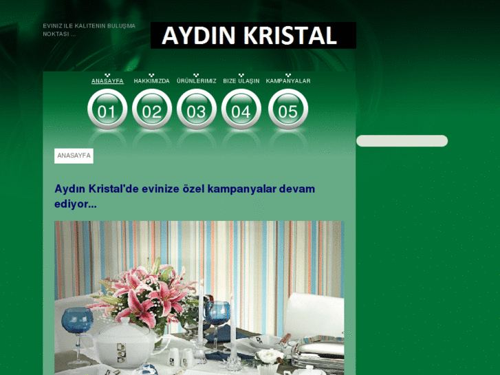 www.aydinkristal.com