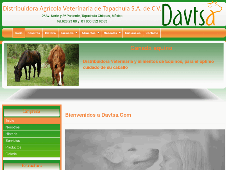www.davtsa.com