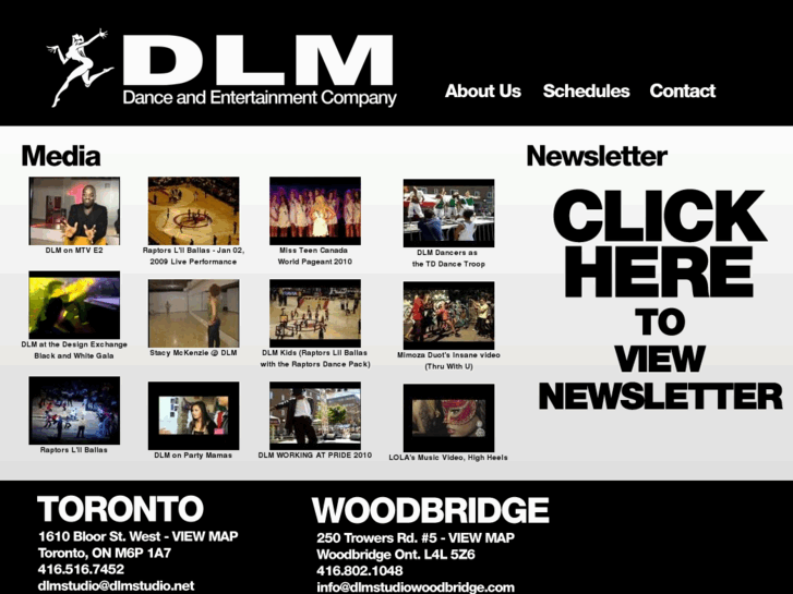 www.dlmstudiotoronto.com