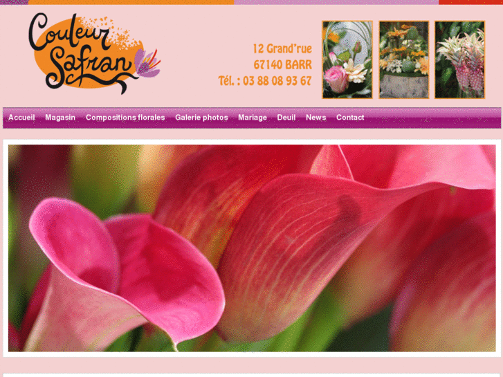 www.fleurs-couleur-safran.fr