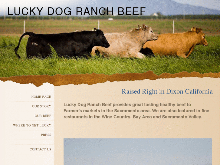 www.luckydogranchbeef.com