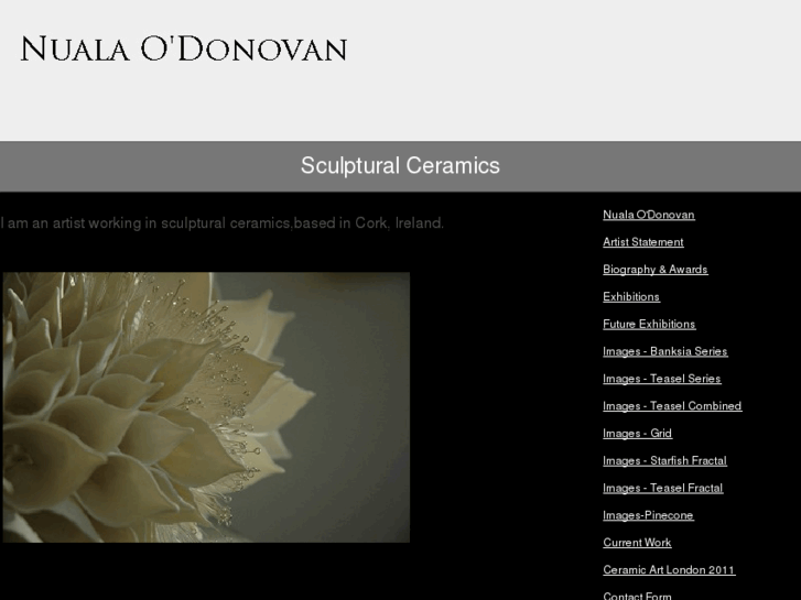 www.nualaodonovan.com