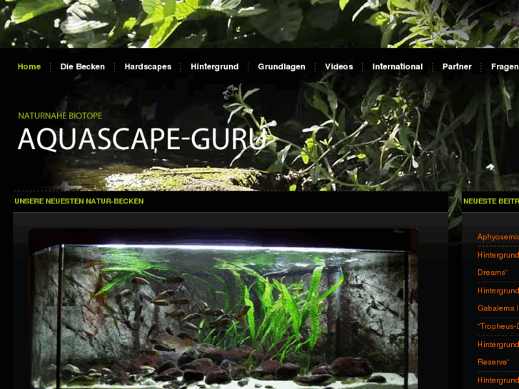 www.aquascape-guru.de