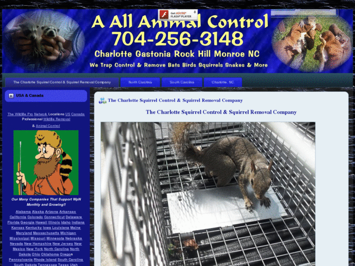 www.charlottesquirrelremoval.net