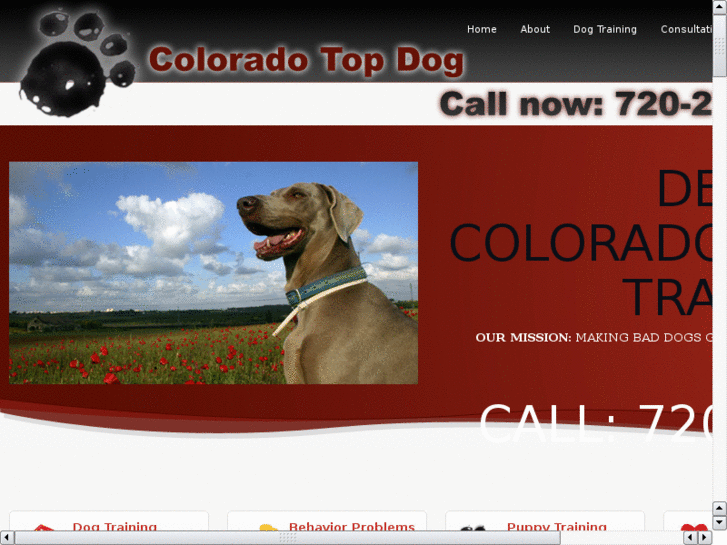 www.dogtrainingindenver.com