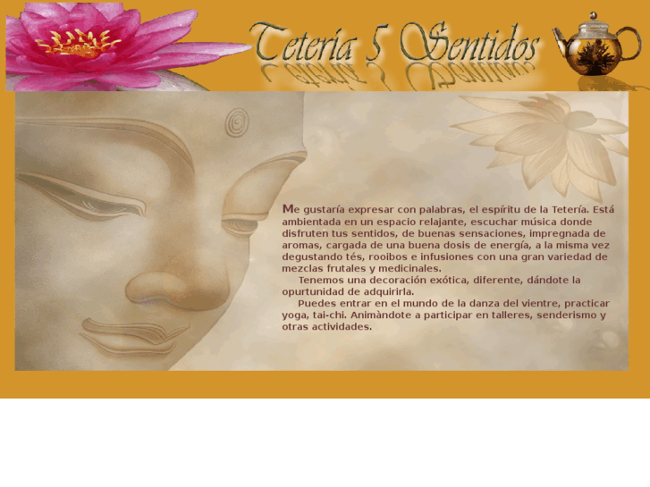 www.teteria5sentidos.com