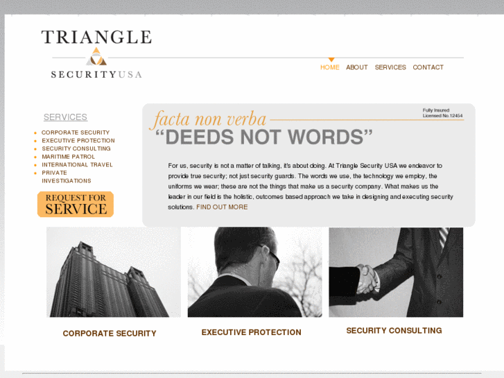 www.tsecurity.net