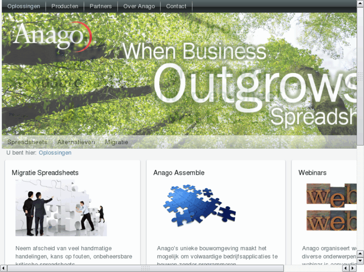 www.anagosoftware.com