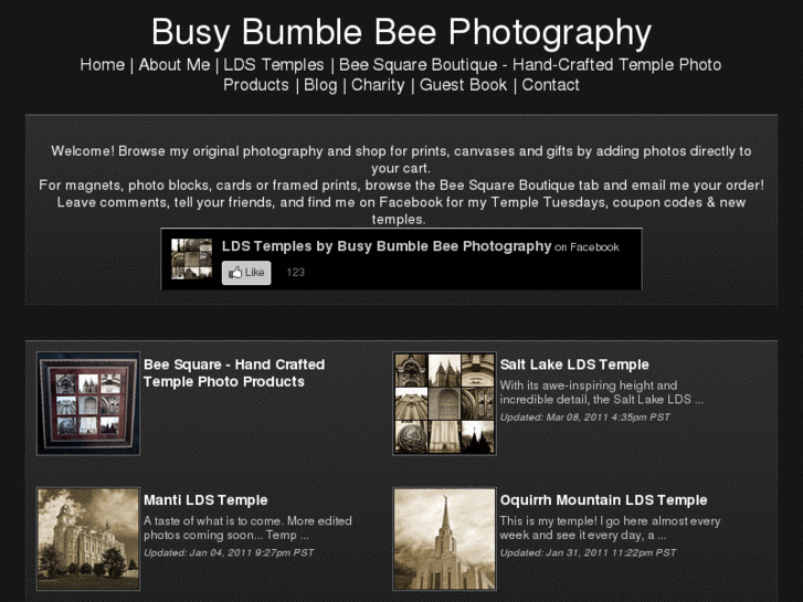 www.busybumblebeephotography.com