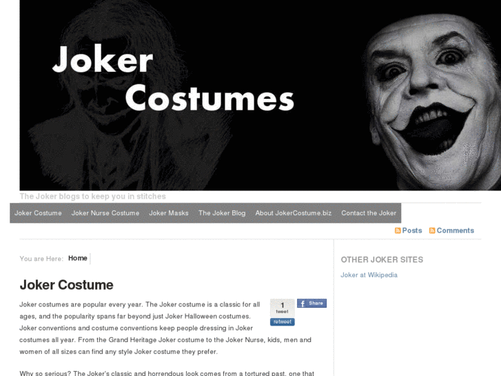 www.jokercostume.biz