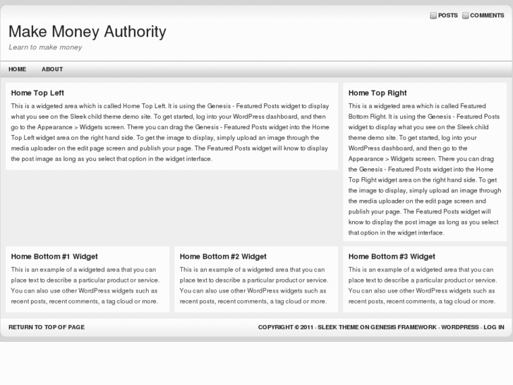 www.makemoneyauthority.com