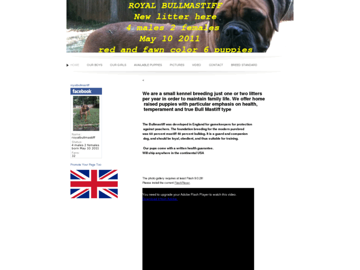 www.royalbullmastiff.com