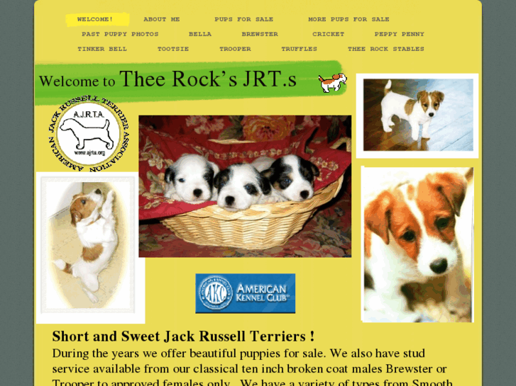 www.usrussellterriers.org