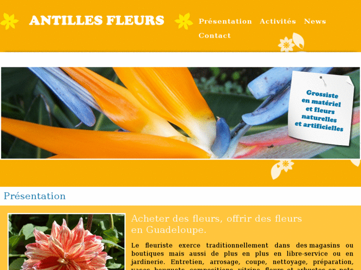 www.antillesfleurs.com