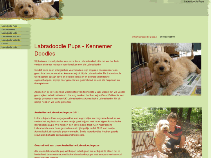 www.labradoodle-pups.nl