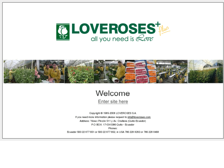 www.loveroses.com