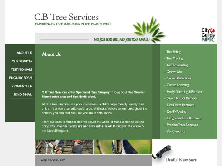 www.manchestertreesurgeon.com