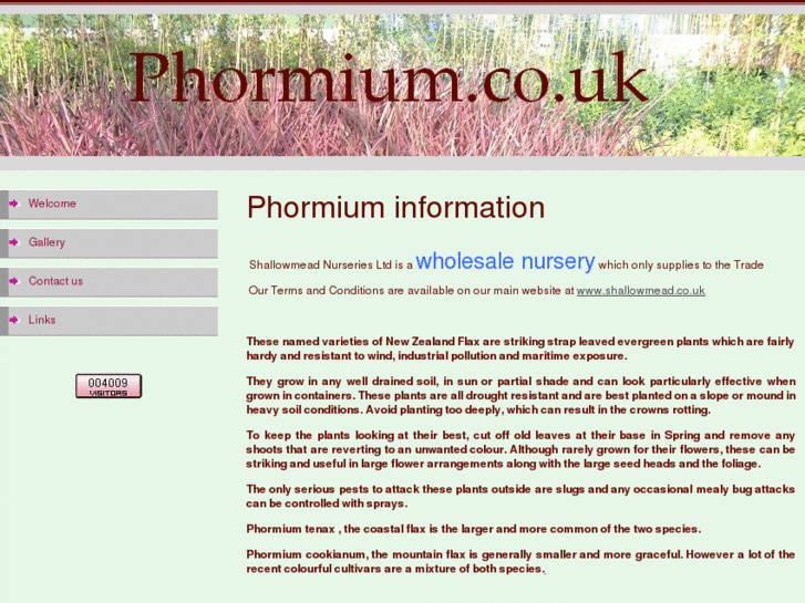 www.phormium.co.uk