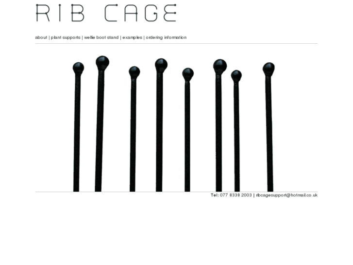 www.ribcagesupport.com