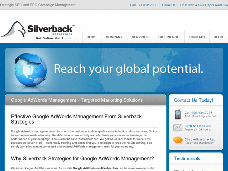 www.silverbackstrategiesinfo.com