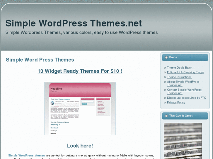 www.simplewordpressthemes.net