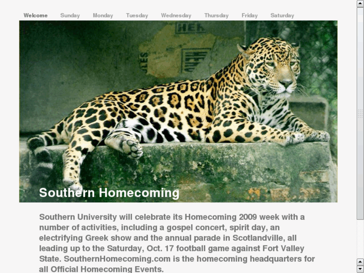 www.southernhomecoming.com