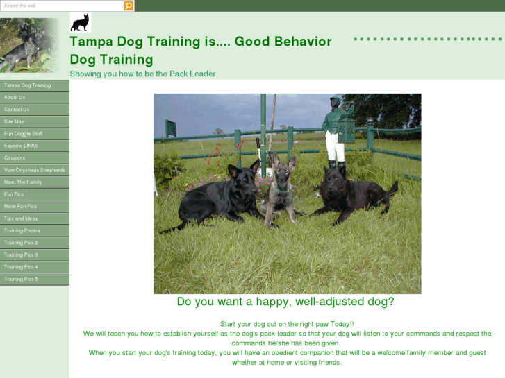 www.tampadogtrainer.com