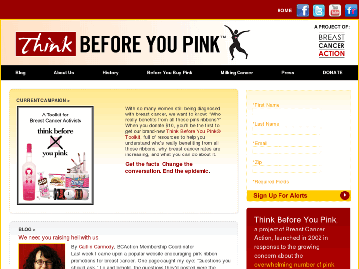 www.thinkbeforeyoupink.net