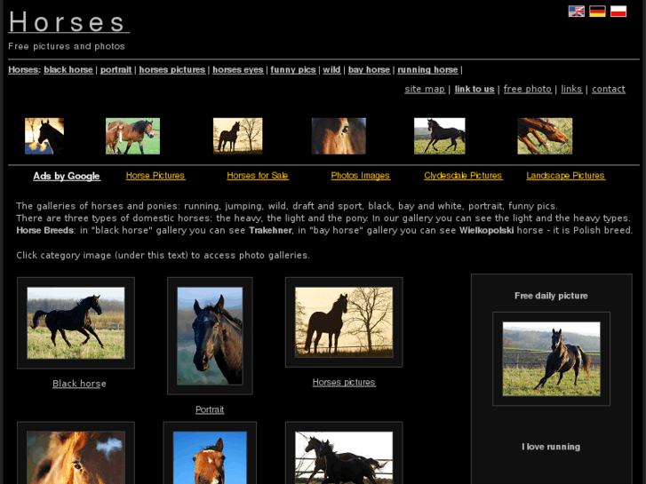 www.horses-photos.org