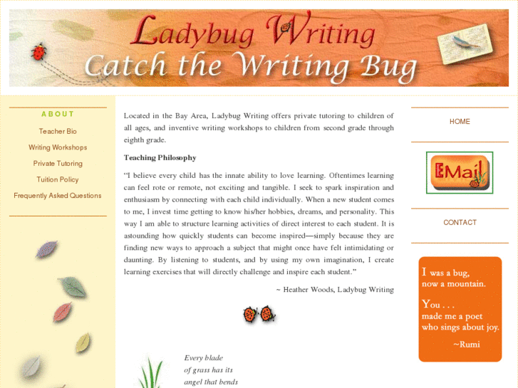 www.ladybugwriting.com