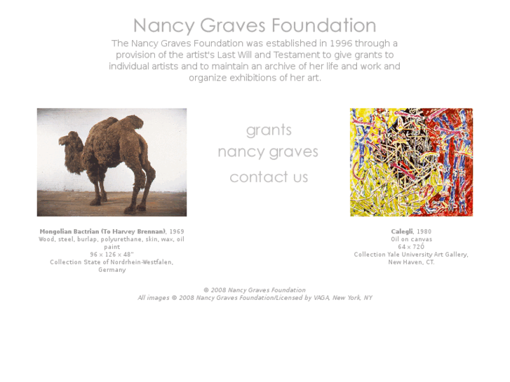 www.nancygravesfoundation.org