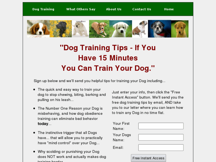 www.artofdogtraining.com