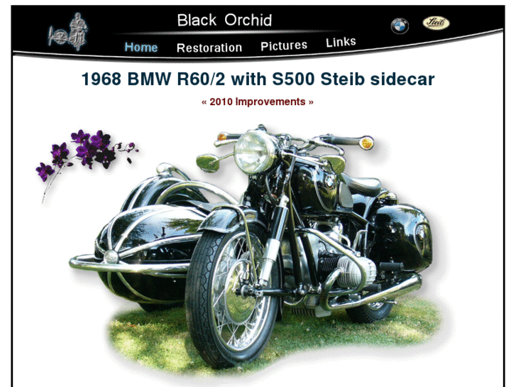 www.blackorchidbmw.com