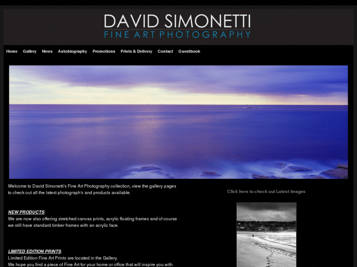 www.davidsimonetti.com