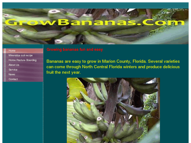 www.growbananas.com