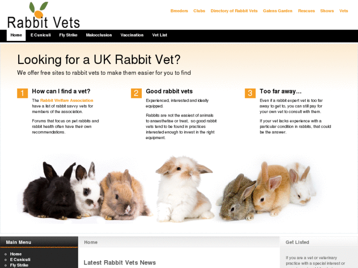 www.rabbit-vet.co.uk
