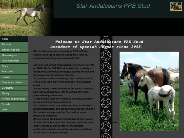 www.starandalusiansprestud.com