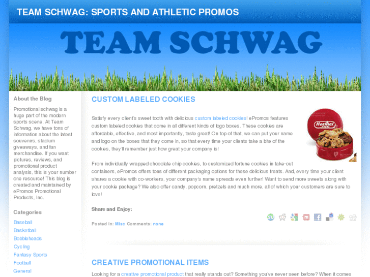 www.teamschwag.com