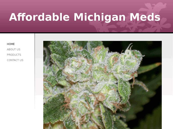 www.affordablemichiganmeds.com