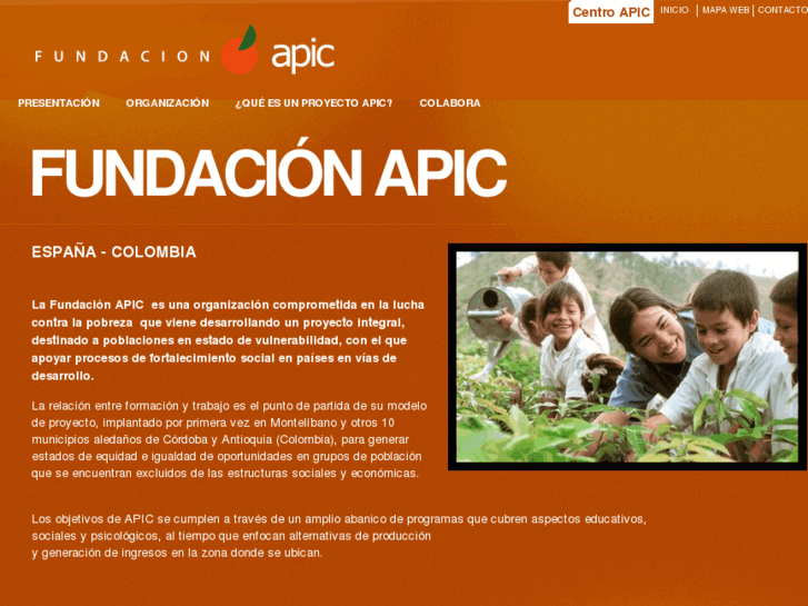 www.fundacionapic.com