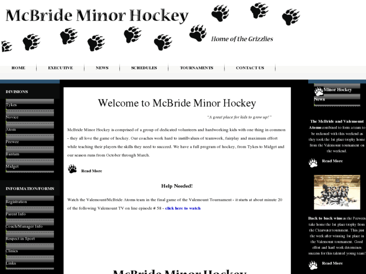 www.mcbrideminorhockey.info