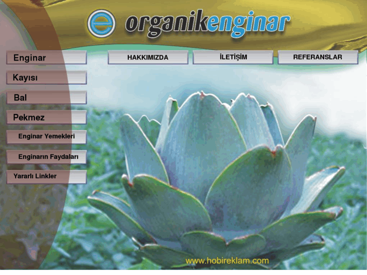 www.organikenginar.com